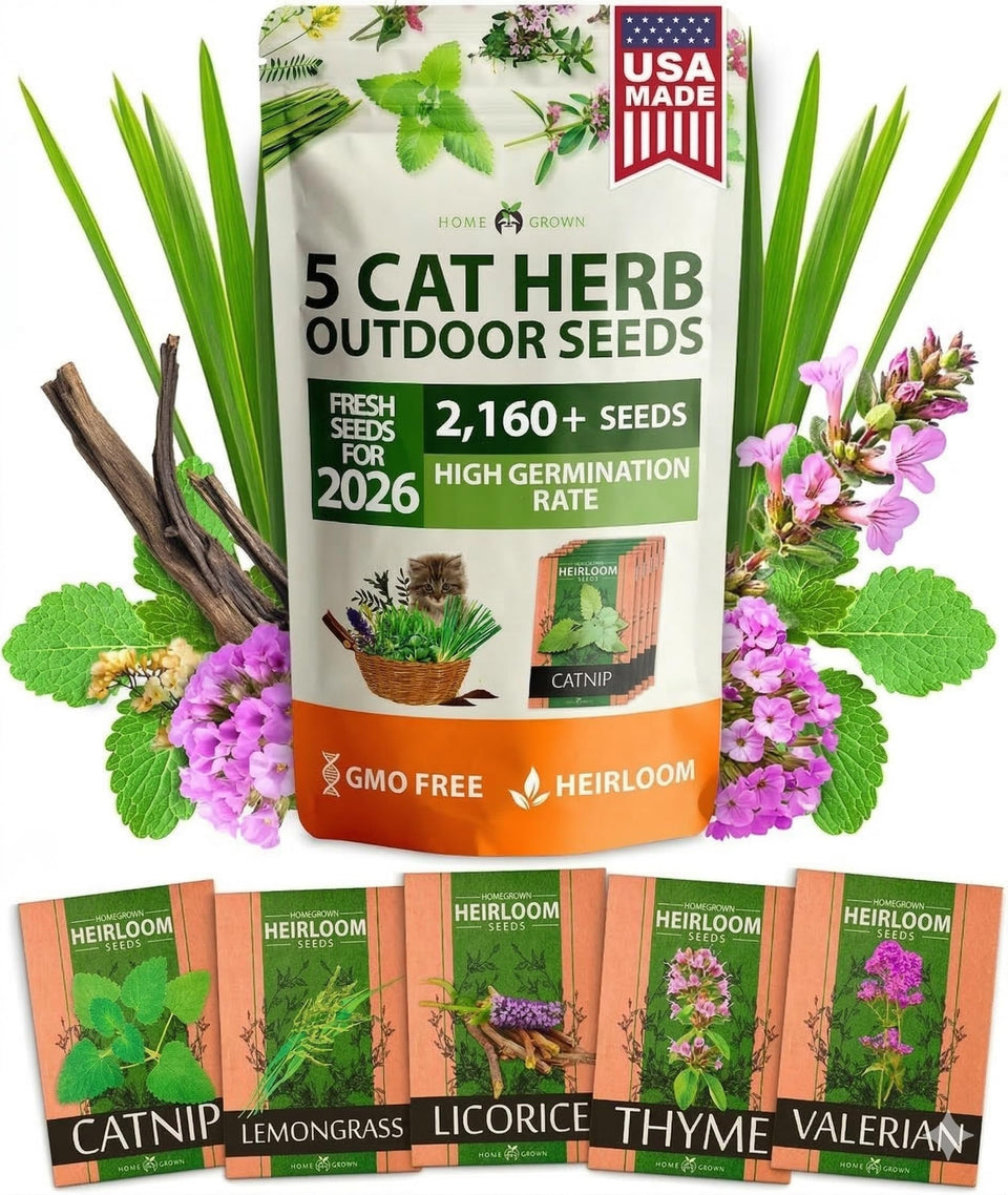 HOME GROWN cat grass kit offering indoor grazing enrichment for cats