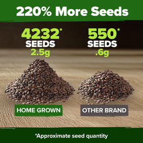 HOME GROWN Catnip Seeds Instructions: beginner-friendly planting guide for success.