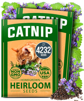 HOME GROWN Catnip Seeds Pack: easy indoor or outdoor planting for fresh catnip.