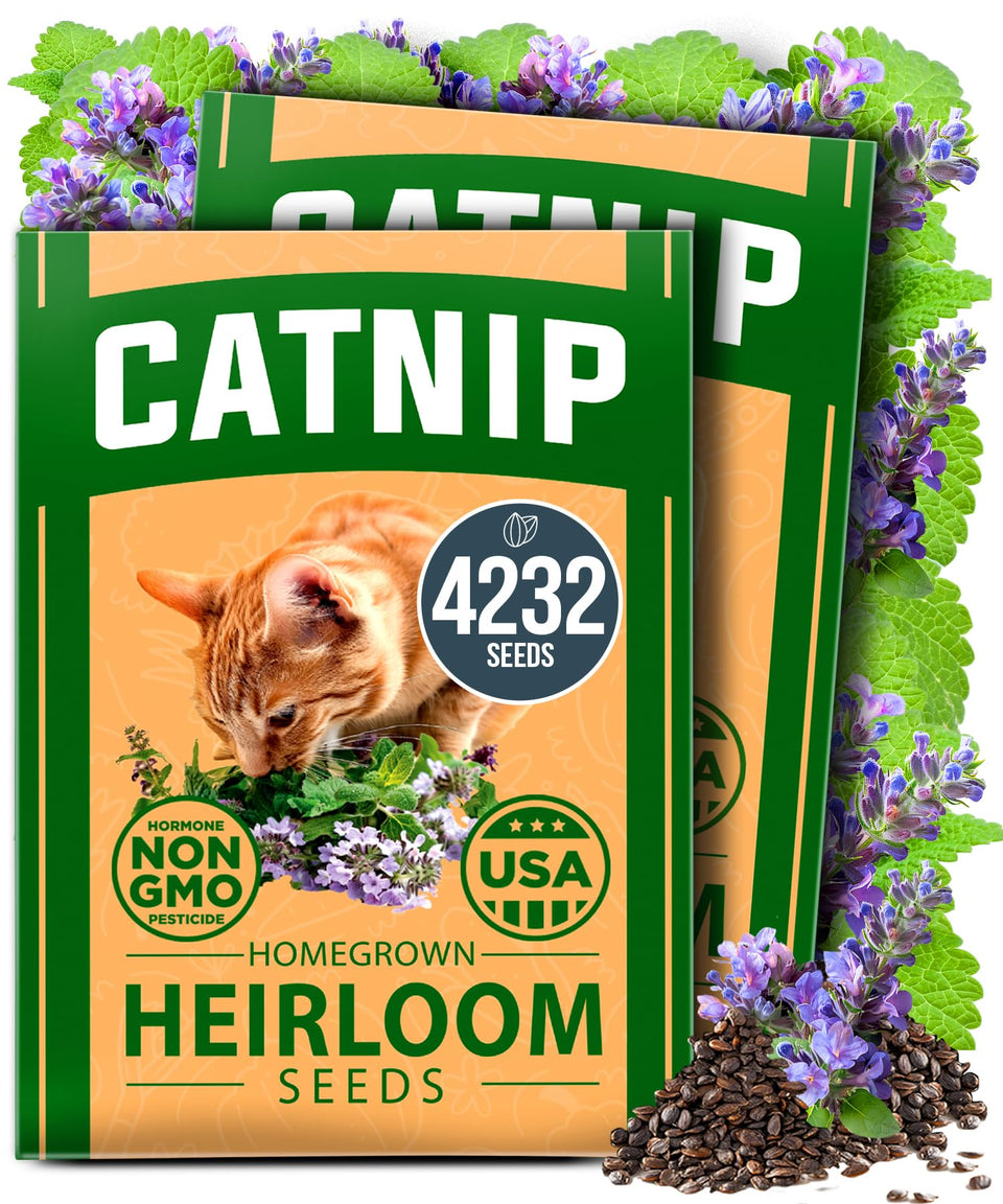 HOME GROWN Catnip Seeds Pack: easy indoor or outdoor planting for fresh catnip.