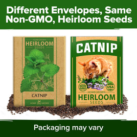 HOME GROWN Catnip Seeds Pet Safe: fresh catnip for happy felines.