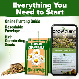 HOME GROWN chamomile seeds germinate in 7-14 days for quick blooms.