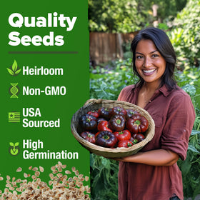 BACK of HOME GROWN Cherokee Purple seeds pack with QR tips for easy planting