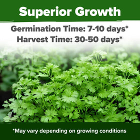 HOME GROWN cilantro seeds bag open showing 1000+ seeds