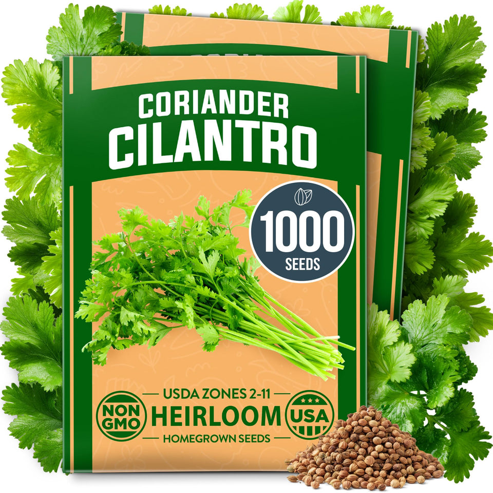 HOME GROWN cilantro seeds package front for easy gardening