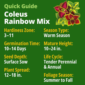 HOME GROWN Rainbow Coleus seed packet demonstrates beginner-friendly germination and high seed quantity.