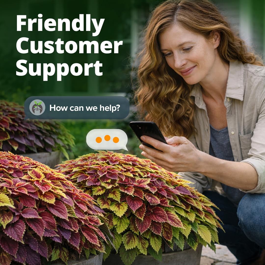 HOME GROWN Rainbow Coleus foliage in shaded bed image highlights year-round color opportunities.