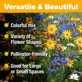 HOME GROWN colorful wildflowers showcase coneflower, cornflower, and poppies.