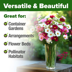 HOME GROWN Cosmos Sensation Mix coverage-250sqft—covers large areas for meadow.