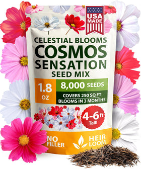 HOME GROWN Cosmos Sensation Mix seeds pack for quick, vibrant border color.