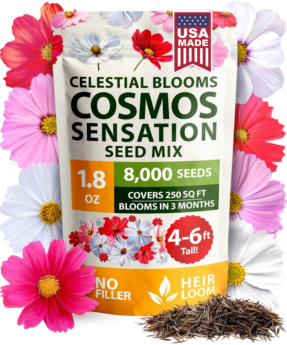 HOME GROWN Cosmos Sensation Mix seeds pack for quick, vibrant border color.
