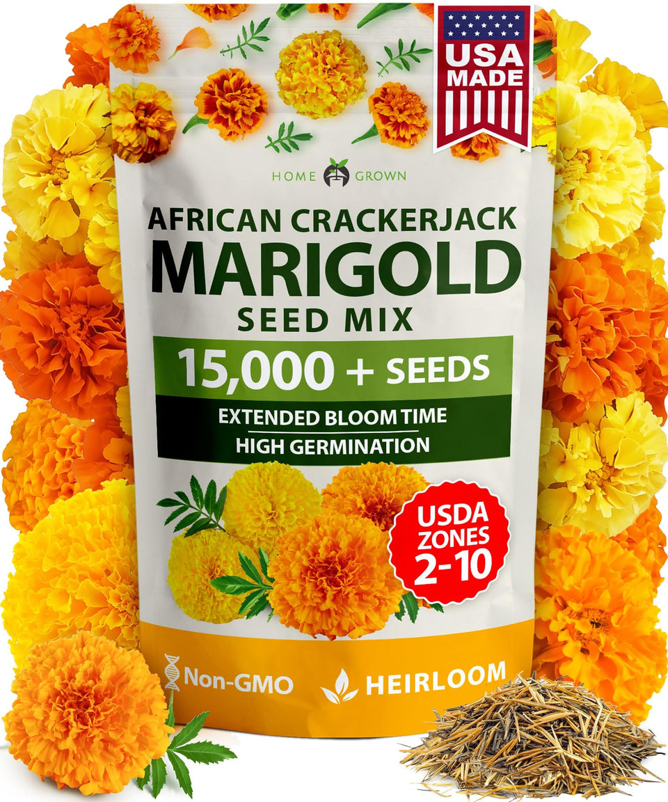 HOME GROWN Crackerjack marigold seeds bulk bag close-up for vibrant outdoor color.