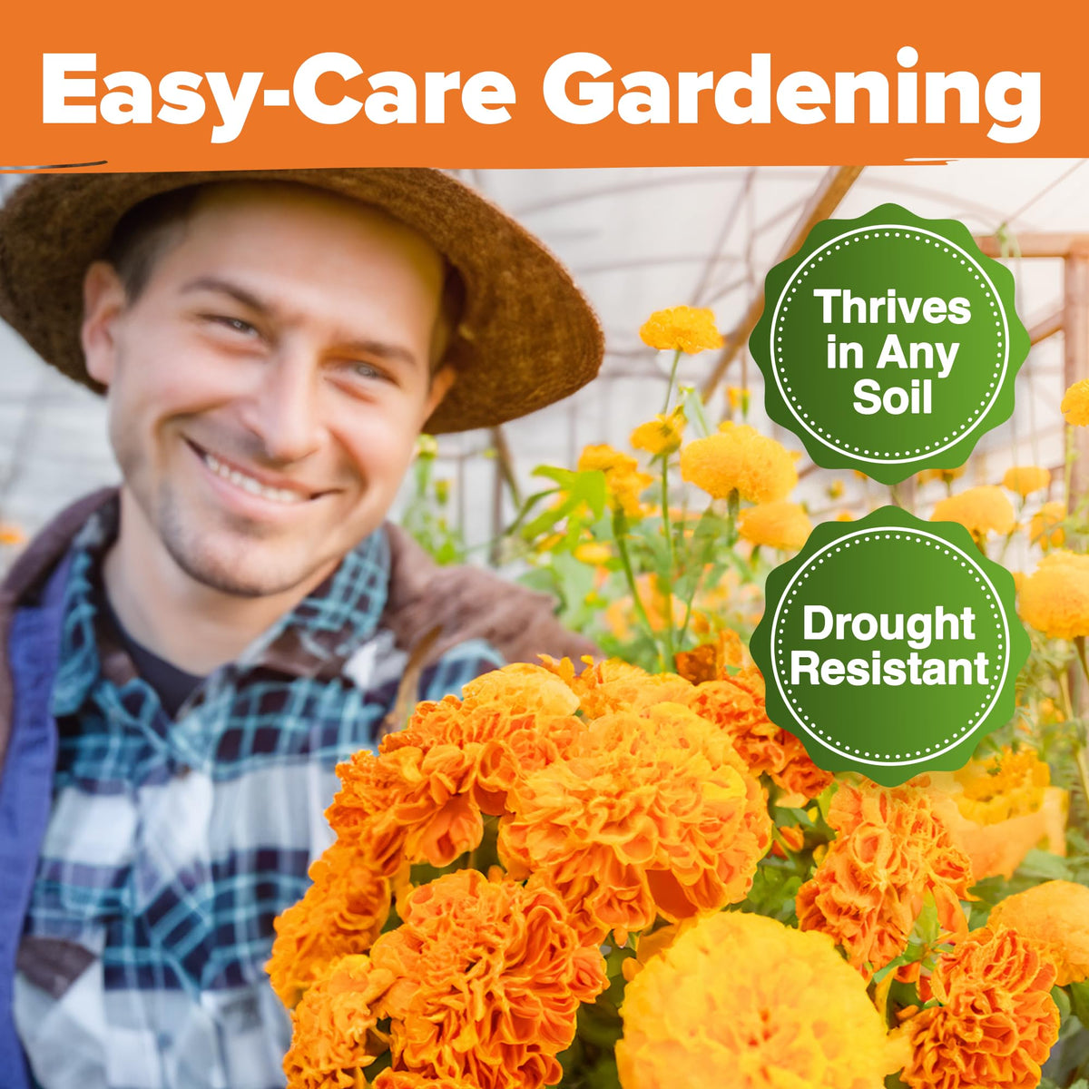 Companion planting with HOME GROWN Crackerjack marigolds enhances garden health and biodiversity.