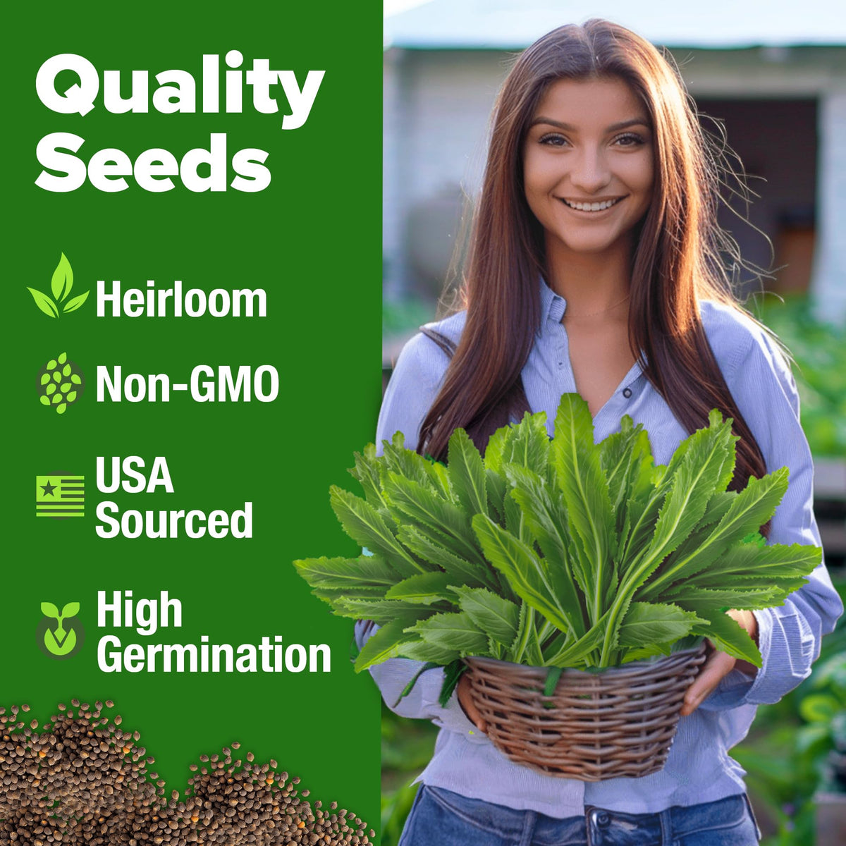 HOME GROWN Culantro seeds with robust flavor promise for soups, stews, and marinades.