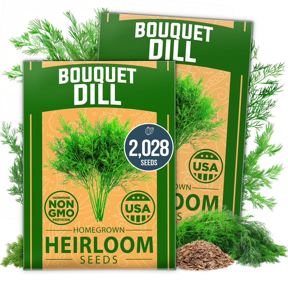 HOME GROWN Dill Seeds seed pack non-GMO heirloom for vibrant herbs