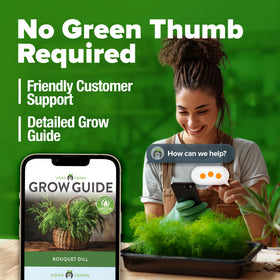HOME GROWN Dill Seeds value pack delivers premium herbs at a great price