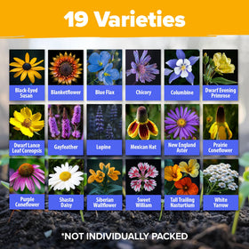 HOME GROWN easy-to-grow non-GMO seeds for beginners and pros