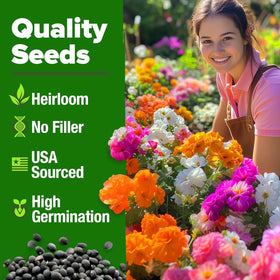 HOME GROWN Easy-to-sow flowers quick to establish vibrant color.