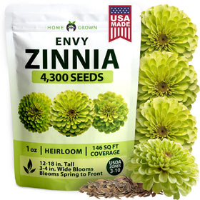 HOME GROWN Envy lime-green zinnia bloom adds vibrant color to the garden