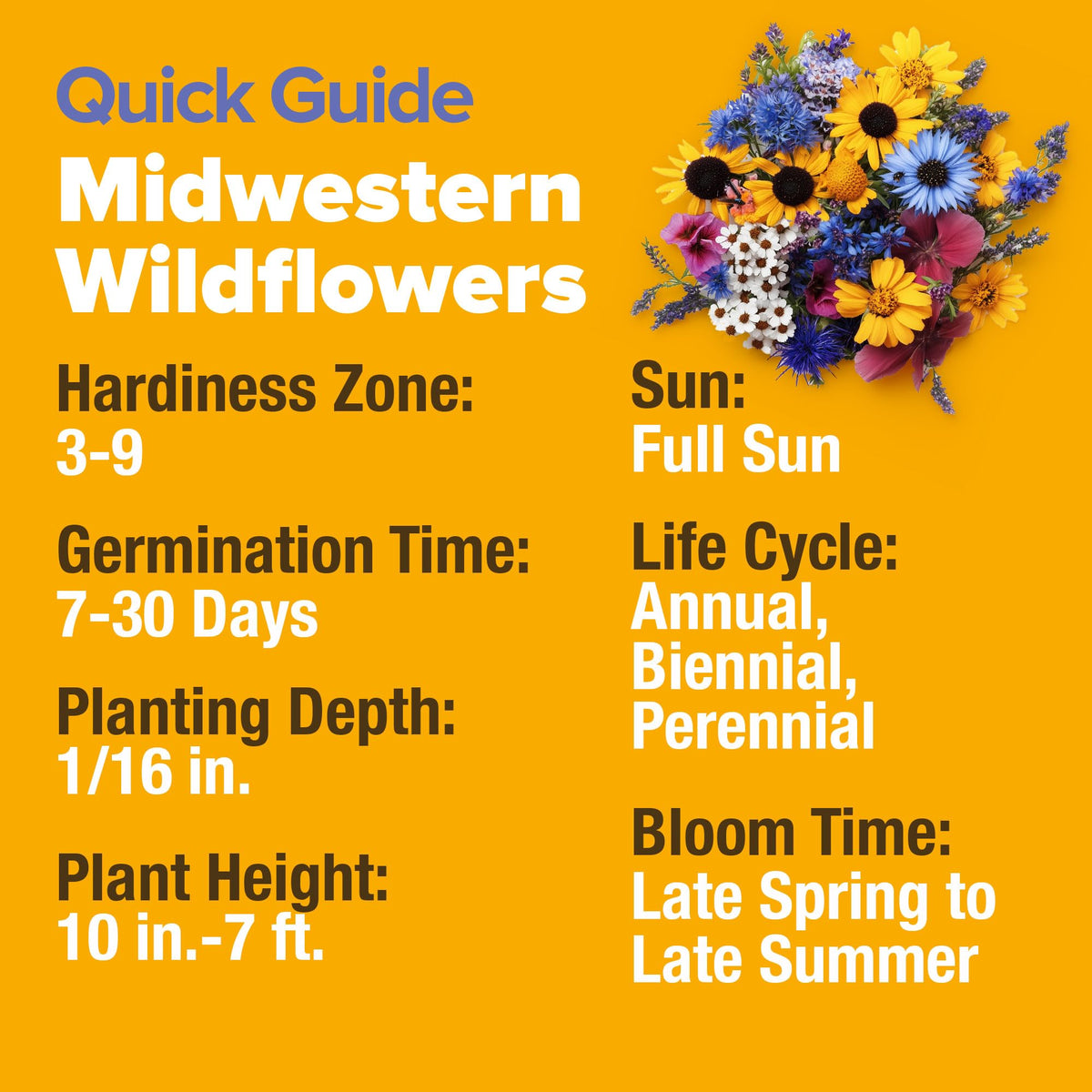 HOME GROWN full sun to partial shade adaptability for diverse Midwest soils.