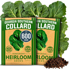 HOME GROWN Georgia Southern collard seeds pack ready for planting and a bountiful harvest.