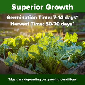 HOME GROWN Georgia Southern germination-rate seeds displayed for reliable sprouting.