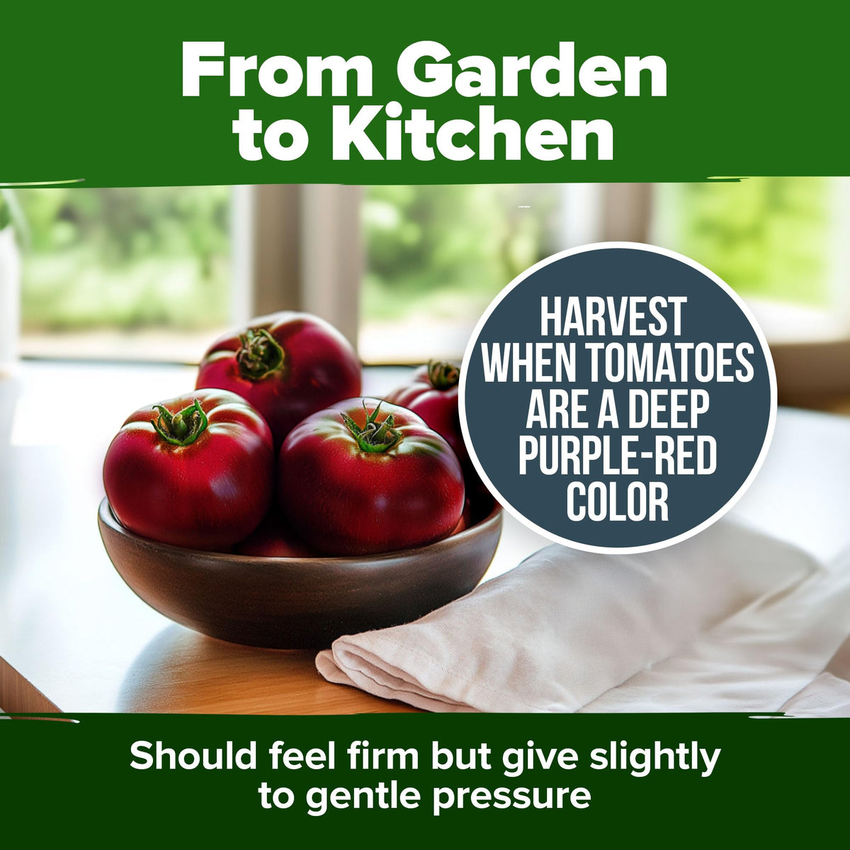 HOME GROWN gift pack for gardeners and seed collectors