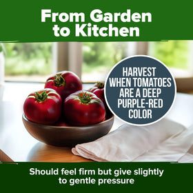 HOME GROWN gift pack for gardeners and seed collectors