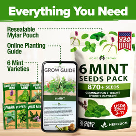 HOME GROWN gift-pack mint seeds ideal for gardeners and herb lovers.