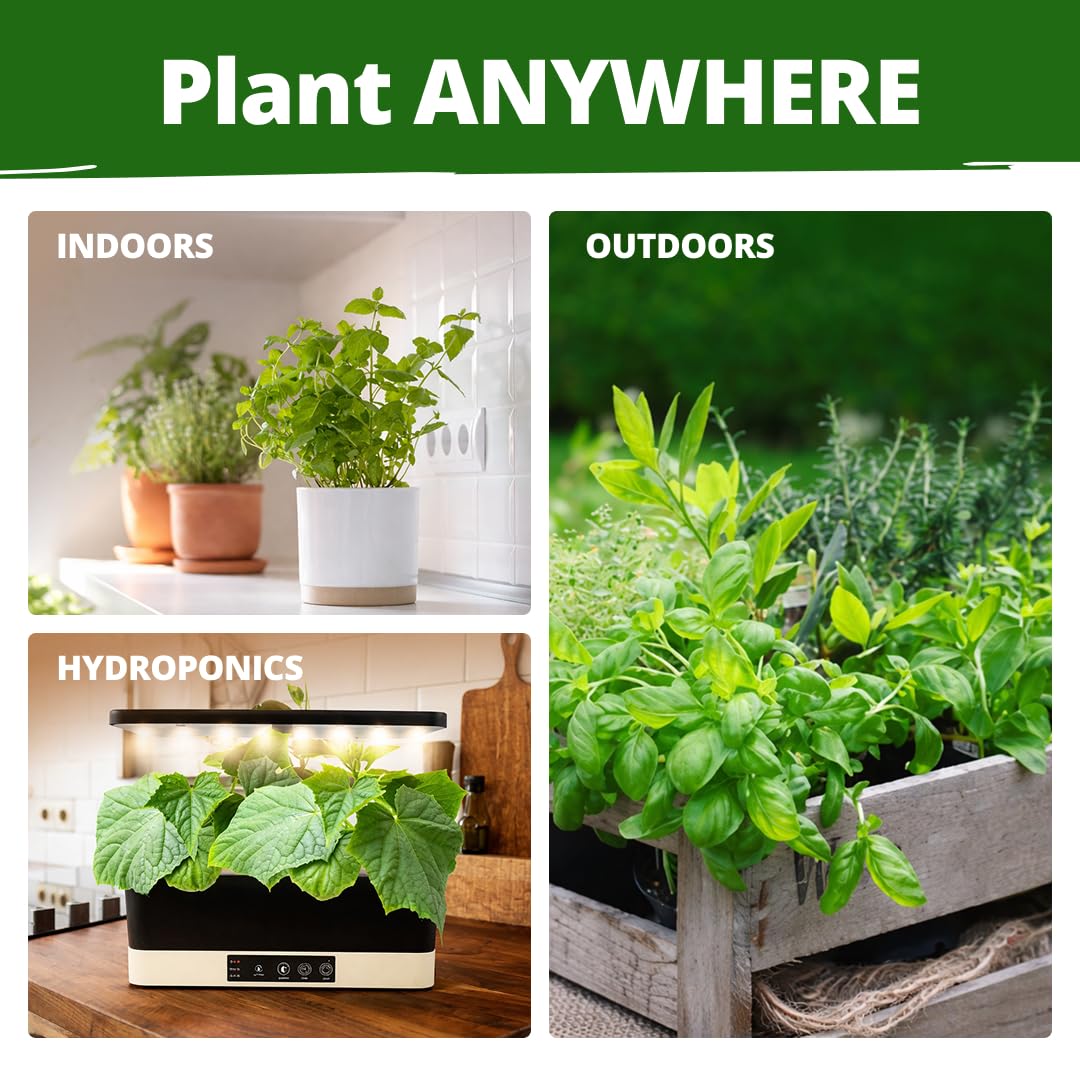 HOME GROWN gift-ready packaging ideal for gardeners and cooks.