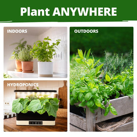 HOME GROWN gift-ready packaging ideal for gardeners and cooks.