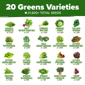 HOME GROWN heirloom lettuce seeds bulk display ready for outdoor garden planting
