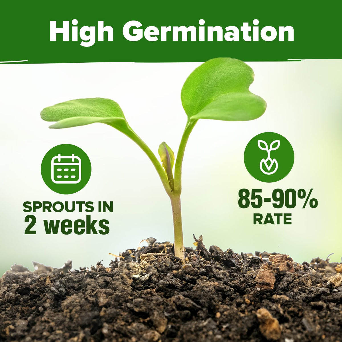 HOME GROWN heirloom non-GMO seeds offer safe, chemical-free gardening.
