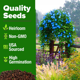 HOME GROWN Heirloom non-GMO seeds support sustainable garden color.