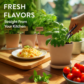 HOME GROWN herbs on-window showcase easy indoor harvests and fresh flavor.