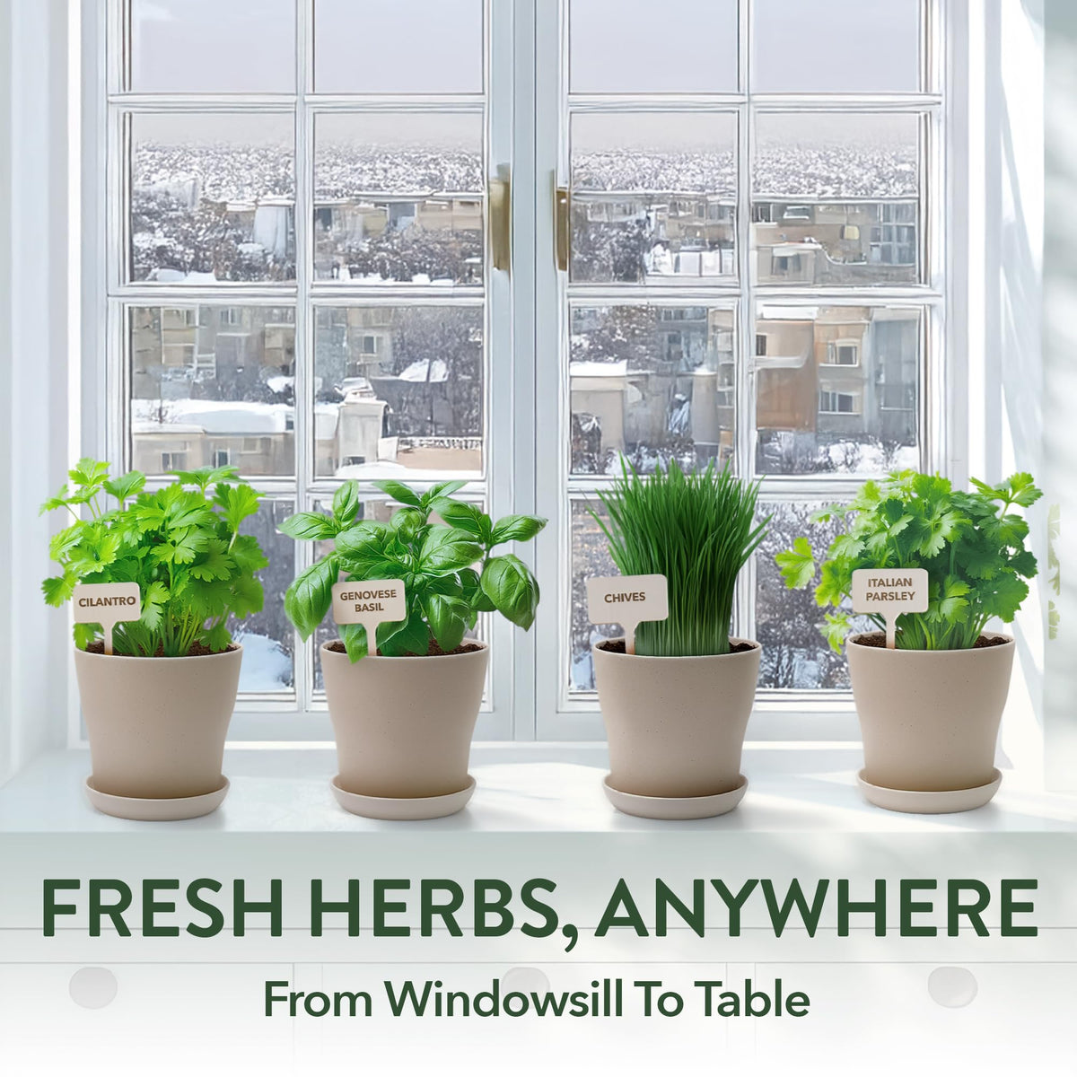 HOME GROW N instruction guide offers step by step growing tips for beginners.