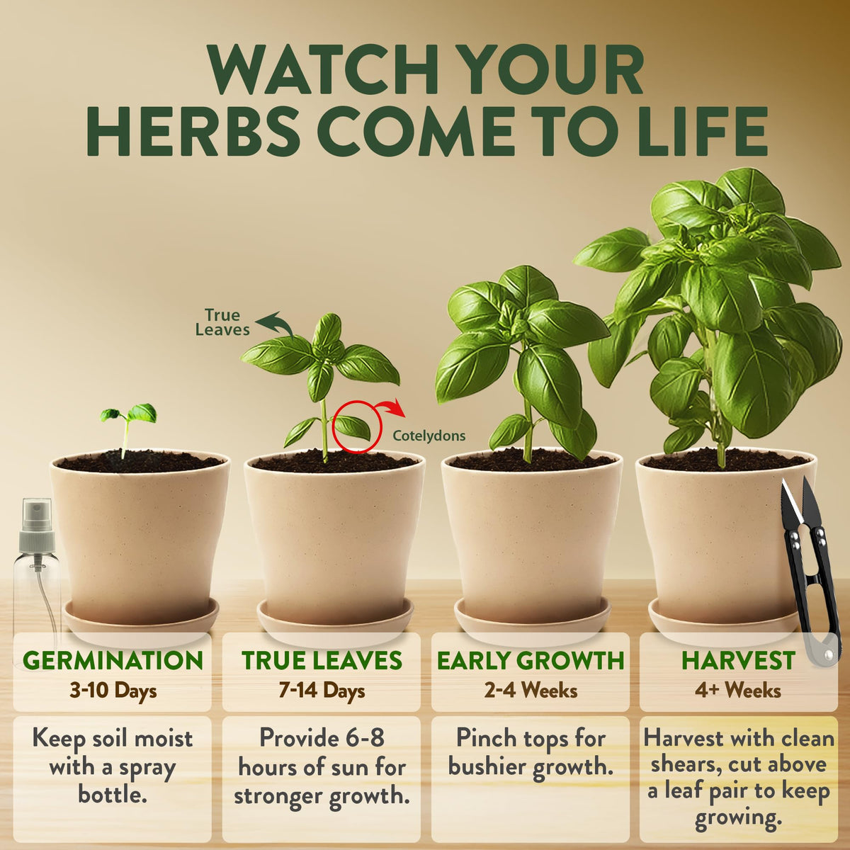 HOME GROWN markers help keep herbs organized during indoor gardening.