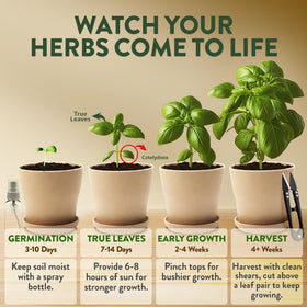 HOME GROWN markers help keep herbs organized during indoor gardening.