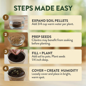 HOME GROWN seed packets provide four heirloom varieties for fresh flavors.