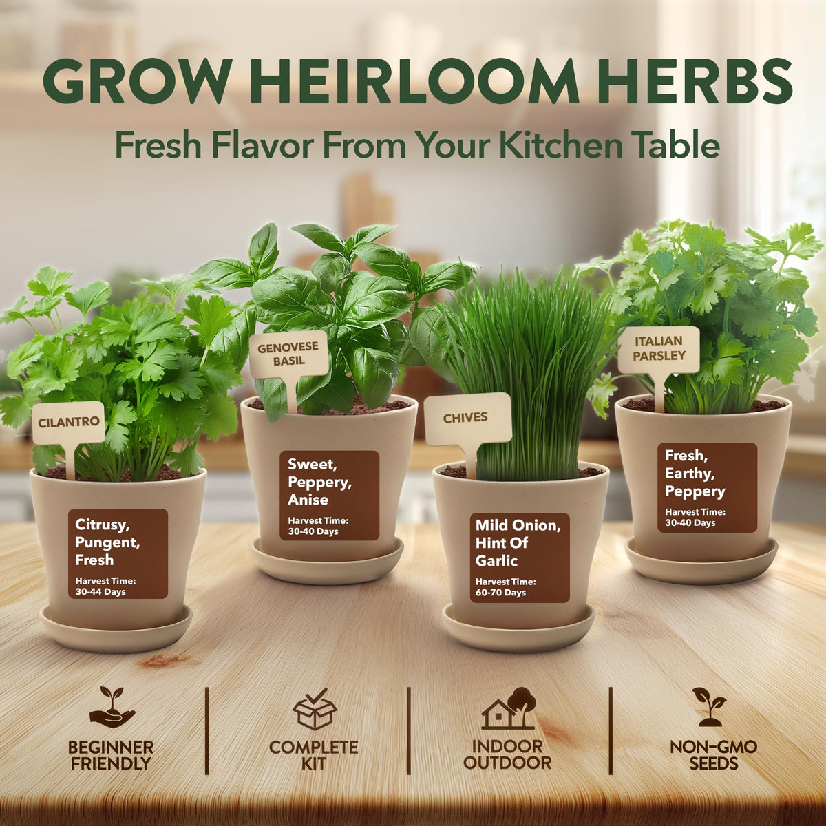 HOME GROWN soil discs in the kit support consistent moisture for thriving herbs.