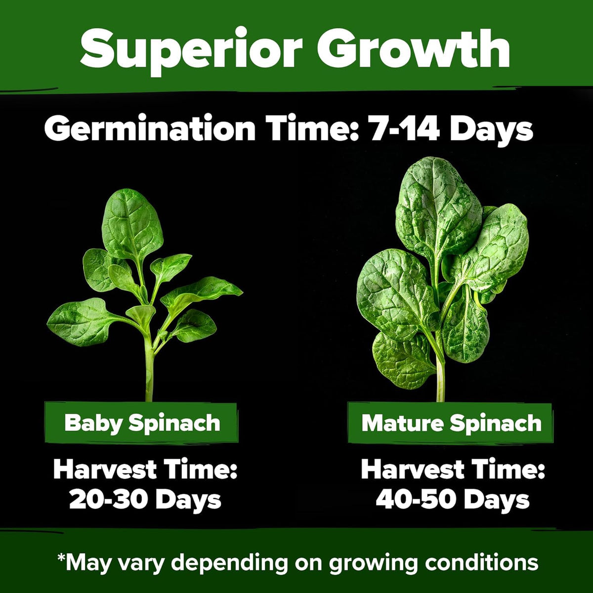 HOME GROWN high germination rate badge on seed pack highlighting quick sprouting