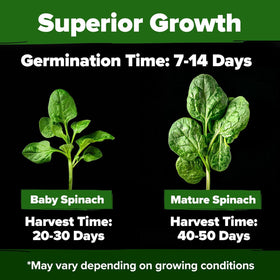 HOME GROWN high germination rate badge on seed pack highlighting quick sprouting