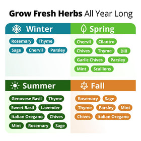 HOME GROWN hydroponic compatible herbs seeds ready for indoor gardens.