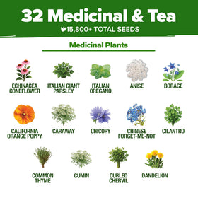 HOME GROWN indoor-outdoor garden setup demonstrates versatile planting options for beginners.