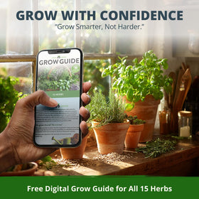 HOME GROWN kitchen garden ideas with fresh herbs.