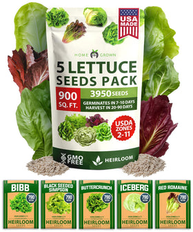 HOME GROWN lettuce seeds 5-variety mix pack ready for year-round salads.