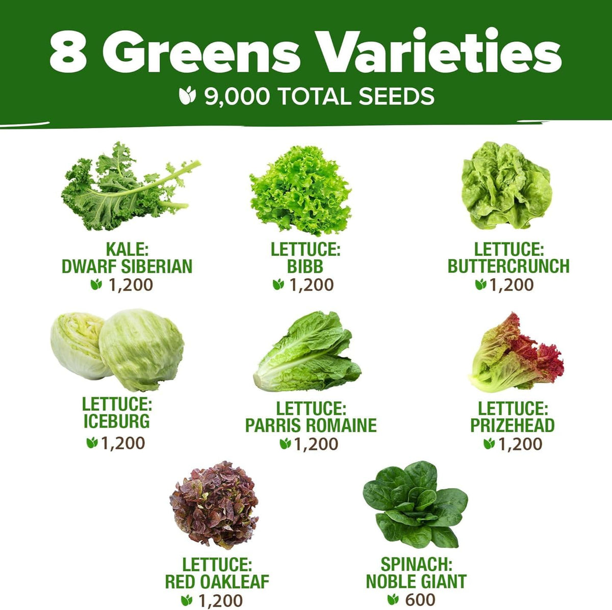 Closeup of HOME GROWN seed pack highlighting heirloom non-GMO varieties