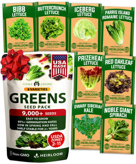 HOME GROWN Lettuce Seeds 8 Variety Mix pack front view for year round salads