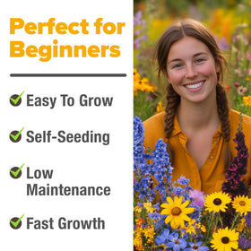 HOME GROWN meadow-border planting highlights colorful edges and low maintenance.