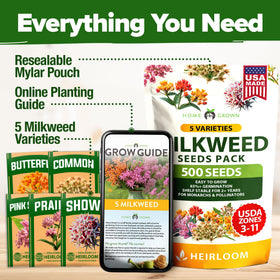 HOME GROWN Milkweed seeds Low-maintenance and hardy across zones 3–11.
